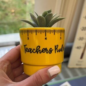 NWOT Teachers Rule Ruler Faux Succulent Plant